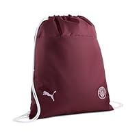 Algopix Similar Product 16 - PUMA Manchester City Drawstring Gym Bag