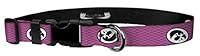 Algopix Similar Product 12 - Moose Pet Wear Dog Collar  University