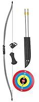 Algopix Similar Product 20 - Bear Archery Titan Youth Bow Set