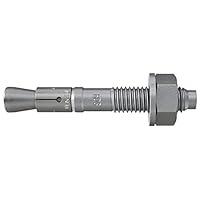 Algopix Similar Product 18 - fischer 40945 FBN II 10160 10x235 mm