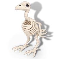 Algopix Similar Product 16 - KBTPMTL Halloween Animal Skeleton