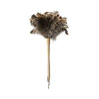 Algopix Similar Product 12 - Ostrich Feather DusterLong Ostrich