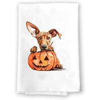 Algopix Similar Product 17 - Adorable Fall Kitchen Hand Towel 