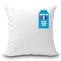 Algopix Similar Product 6 - Foamily Throw Pillow Insert 18 x 18