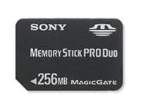 Algopix Similar Product 16 - Sony  Flash memory card  256 MB  MS