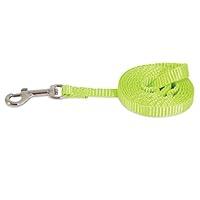 Algopix Similar Product 2 - Petmate Nylon Dog Leash Small 38 X