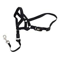Algopix Similar Product 13 - Coastal Pet Walk n Train Dog Head