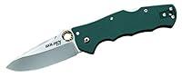 Algopix Similar Product 13 - Cold Steel 62QFGS Golden Eye Spear