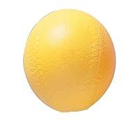 Algopix Similar Product 10 - Champion Sports High Density Coated