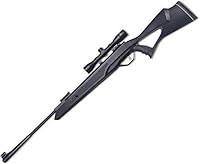 Algopix Similar Product 12 - Beeman Sportsman Longhorn 10617 Air