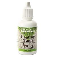 Algopix Similar Product 20 - Animal Essentials Healthy Gum Care for