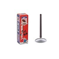 Algopix Similar Product 9 - DNJ IV148 Intake Valve for 19861987