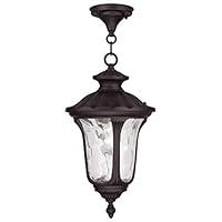 Algopix Similar Product 15 - Livex Lighting 785407 Oxford 1 Light
