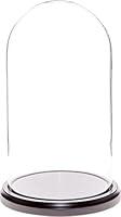 Algopix Similar Product 11 - Plymor 55 x 10 Glass Display Dome