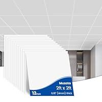 Algopix Similar Product 11 - Muzata 12Pack 2x2 Drop Ceiling Tiles