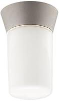Algopix Similar Product 10 - Nuvo Lighting SF77155 Utility Fixture