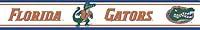 Algopix Similar Product 19 - NCAA Florida SelfStick Wall Border 