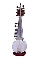 Algopix Similar Product 12 - Naad NS52 Special Sarod with Tumba 