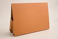 Algopix Similar Product 19 - Exacompta Guildhall Double Pocket Legal