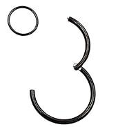 Algopix Similar Product 9 - FANSING 316l Surgical Steel Hinged Nose