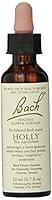 Algopix Similar Product 13 - Nelson Bach Flower Holly, 0.04 lb