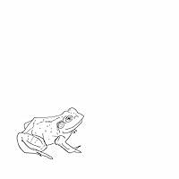 Algopix Similar Product 16 - Bull Frogs Croon (and Other Songs)