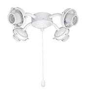 Algopix Similar Product 19 - Aspen Creative 2200321 Ceiling Fan