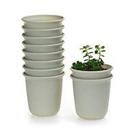 Algopix Similar Product 20 - T4U 3 Inch Plastic Round Plant