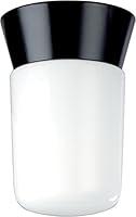 Algopix Similar Product 2 - Nuvo Lighting SF77154 Utility Fixture