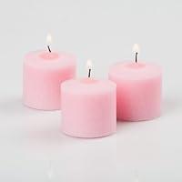 Algopix Similar Product 20 - Set of 24 Richland Votive Candles Pink