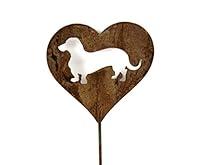 Algopix Similar Product 6 - Pet Dog Cat Rabbit or Bird Keepsake