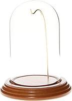 Algopix Similar Product 2 - Plymor 3 x 5 WatchOrnament Glass