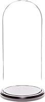 Algopix Similar Product 15 - Plymor 55 x 13 Glass Display Dome