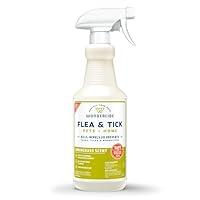 Algopix Similar Product 19 - Wondercide  Flea Tick  Mosquito