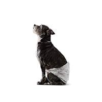 Algopix Similar Product 2 - Amazon Basics Male Dog Wrap Disposable