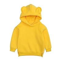 Algopix Similar Product 7 - RNTOP Toddlers and Baby Girls Hoodies