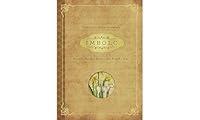 Algopix Similar Product 3 - Imbolc Rituals Recipes  Lore for