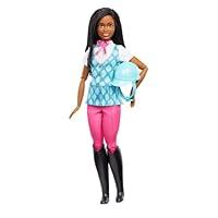 Algopix Similar Product 19 - Barbie Brooklyn Doll  Accessories