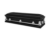 Algopix Similar Product 15 - Titan Casket Orion Series Steel Casket