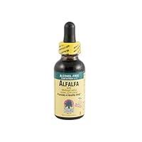 Algopix Similar Product 15 - Alfalfa 1 OZ