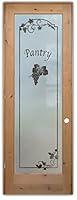 Algopix Similar Product 16 - Frosted Glass Pantry Door  Grape