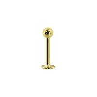 Algopix Similar Product 13 - Body Candy Solid 14k Yellow Gold Labret