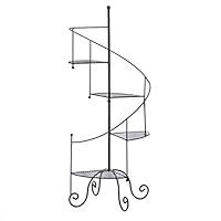 Algopix Similar Product 20 - Zingz and Thingz Spiral Showcase Plant