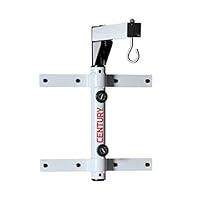 Algopix Similar Product 17 - Century Martial Arts 100 Pound Steel