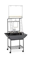 Algopix Similar Product 5 - Prevue Pet Products Small Parrot