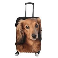 Algopix Similar Product 2 - KLWQR Long Haired Dachshund Luggage