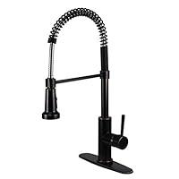 Algopix Similar Product 17 - Fontaine Residential Spring Pull Down