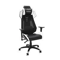 Algopix Similar Product 10 - RESPAWN RSP200 Racing Style Gaming