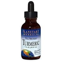 Algopix Similar Product 17 - Planetary Herbals Turmeric Liquid Full