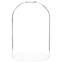 Algopix Similar Product 18 - Plymor 8 x 12 Glass Display Dome